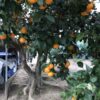 Thumbnail of post image 059