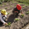 Thumbnail of post image 046