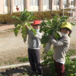 Thumbnail of post image 164